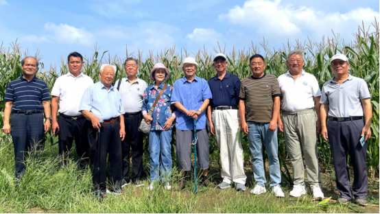 徐州市農(nóng)業(yè)老科技工作者協(xié)會(huì)實(shí)施玉米密植水肥一體化高產(chǎn)攻關(guān)取得突破1116.png