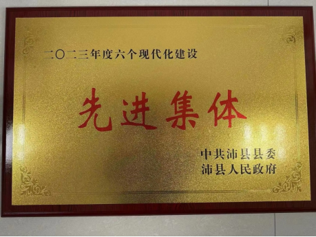 喜報｜沛縣科協(xié)在全縣2023年度高質(zhì)量發(fā)展總結(jié)表彰大會上榮獲“先進集體”123.png