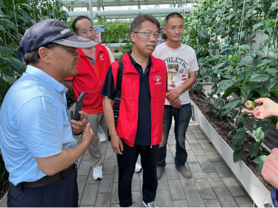 銅山區(qū)全國(guó)科技活動(dòng)周系列活動(dòng)之五：邀請(qǐng)市農(nóng)技協(xié)專家到現(xiàn)代農(nóng)業(yè)產(chǎn)業(yè)示范園科普教育基地進(jìn)行農(nóng)業(yè)技術(shù)指導(dǎo)109.png