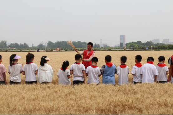 徐州市農(nóng)學(xué)會組織青少年科普活動—行走的研學(xué)課堂 農(nóng)科院探秘424.png