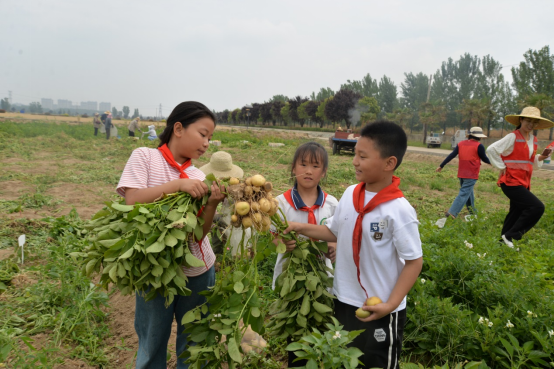 徐州市農(nóng)學(xué)會組織青少年科普活動—行走的研學(xué)課堂 農(nóng)科院探秘596.png