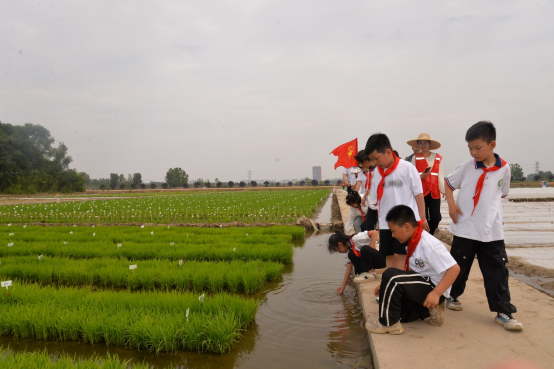 徐州市農(nóng)學(xué)會組織青少年科普活動—行走的研學(xué)課堂 農(nóng)科院探秘702.png