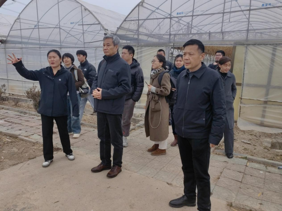 南京農(nóng)業(yè)大學(xué)黃瓜研究團隊前往江蘇邳州黃瓜科技小院開展工作指導(dǎo)(1)22.png