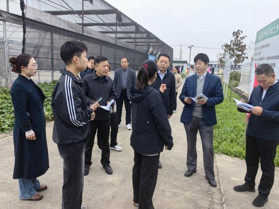 江蘇省科協(xié)農村中心主任張杰一行赴邳州市大莊農業(yè)科技小院調研科技助農工作26.png